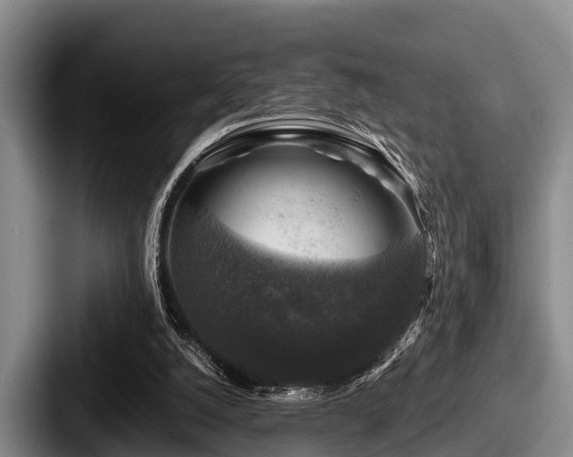 X0000087680056200705111308