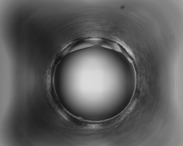 X0000087680057200705111308