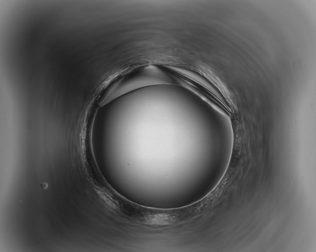 X0000087680058200705111308