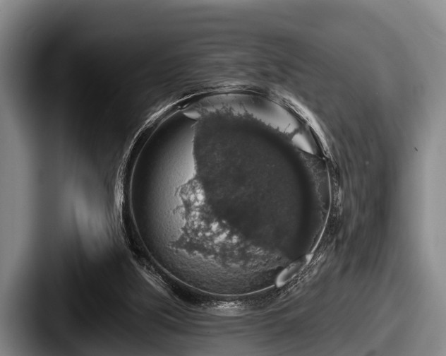 X0000087680059200705111308