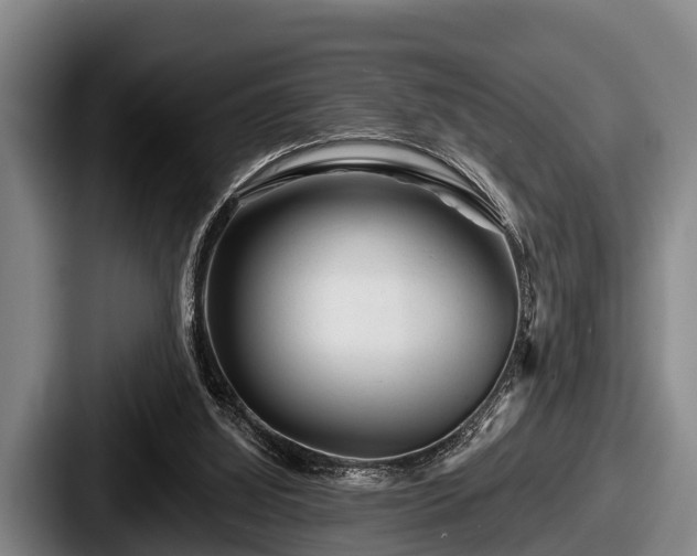 X0000087680060200705111308