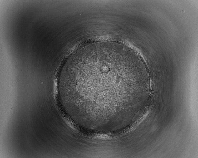 X0000087680061200705111309