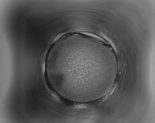 X0000087680062200705111309