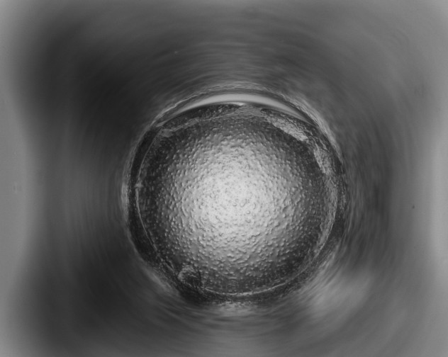 X0000087680063200705111309