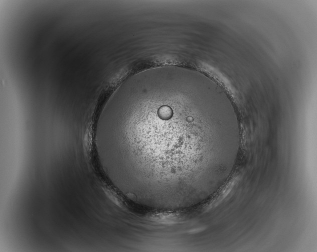 X0000087680065200705111309