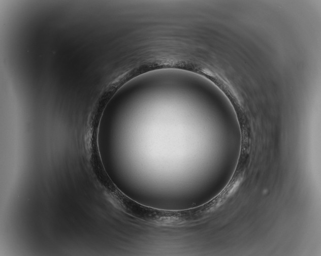 X0000087680066200705111309