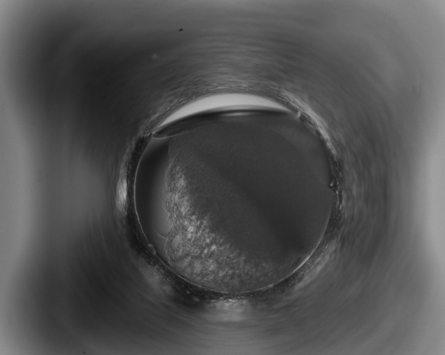 X0000087680067200705111309