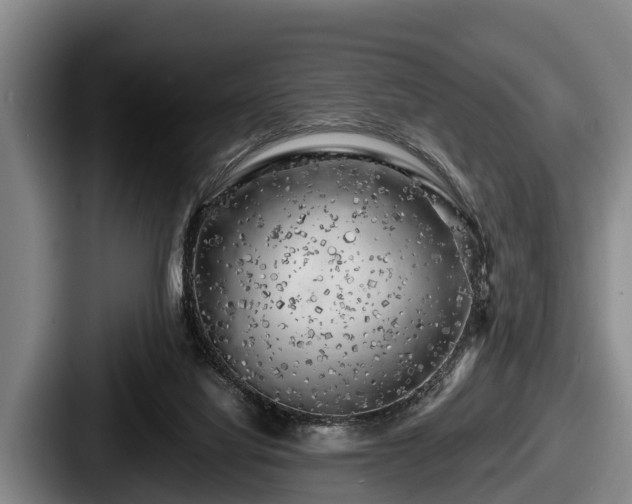 X0000087680068200705111309