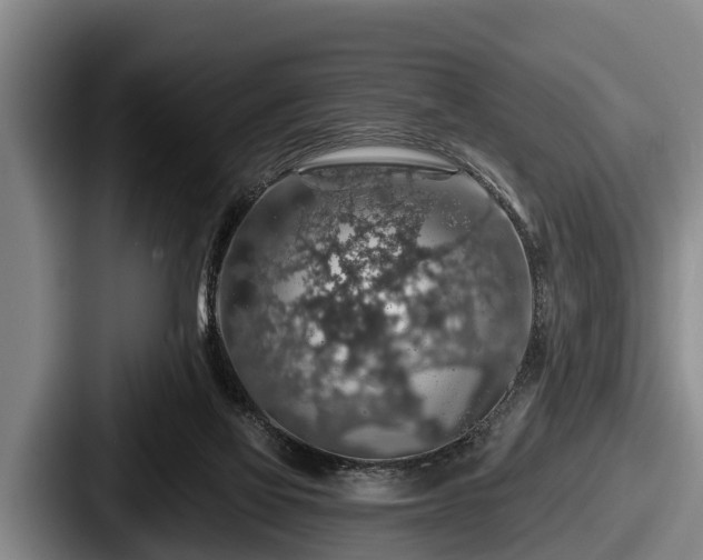 X0000087680069200705111309