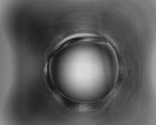 X0000087680070200705111309