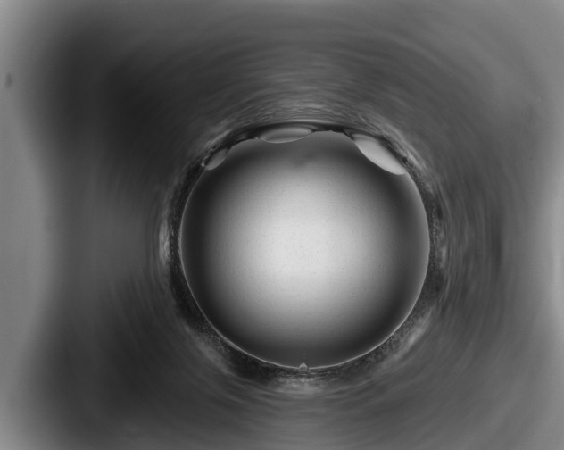 X0000087680071200705111309