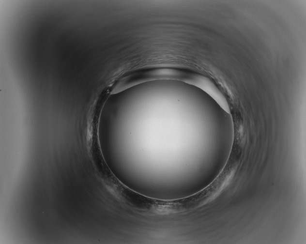 X0000087680072200705111309