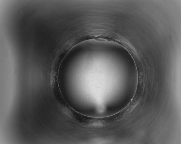 X0000087680073200705111309