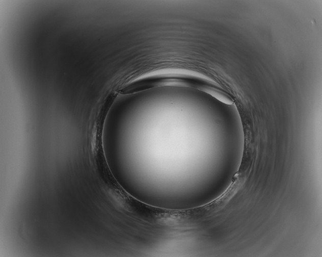 X0000087680074200705111309