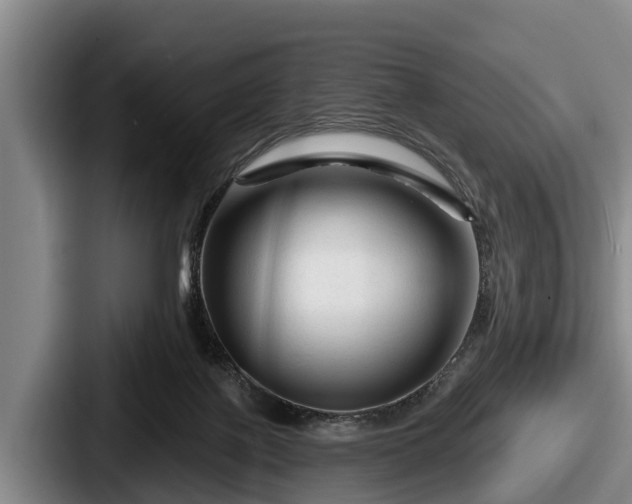 X0000087680075200705111309