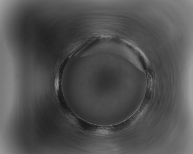 X0000087680076200705111309