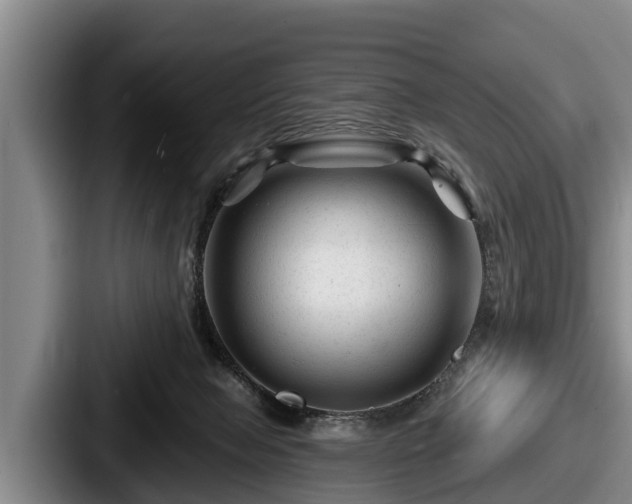 X0000087680077200705111309