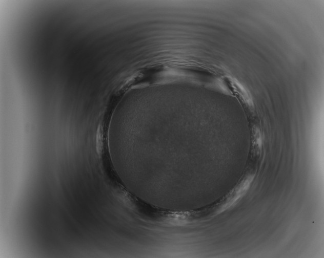 X0000087680080200705111309