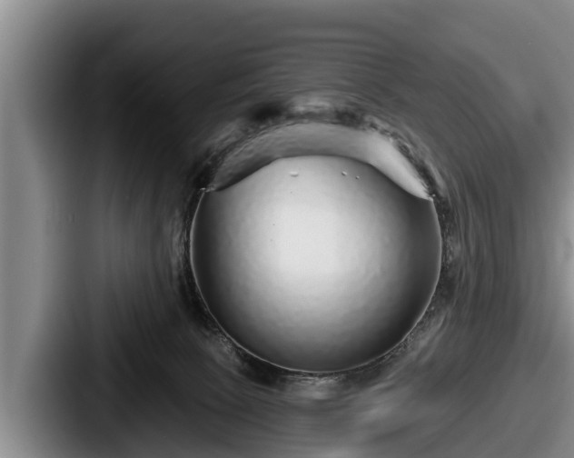 X0000087680081200705111309