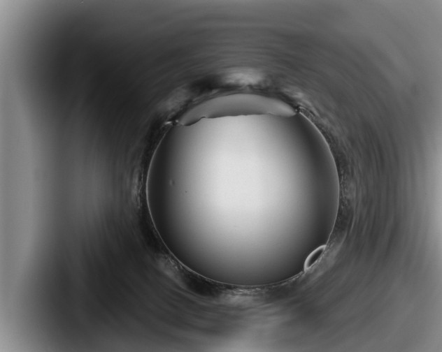 X0000087680082200705111309