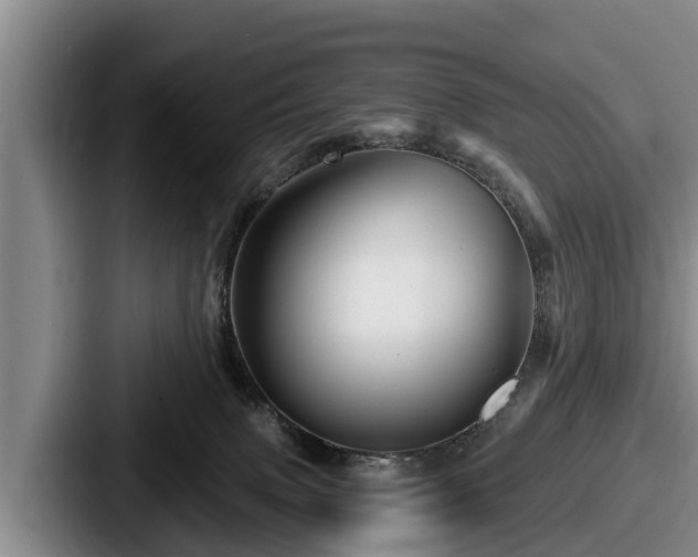 X0000087680083200705111309