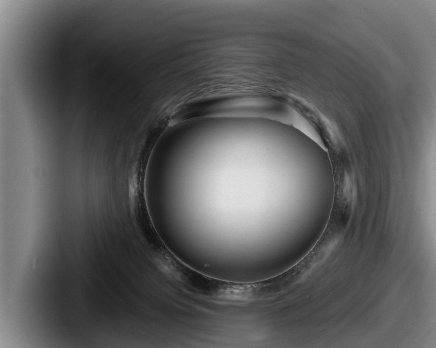 X0000087680084200705111309