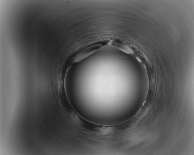 X0000087680085200705111309