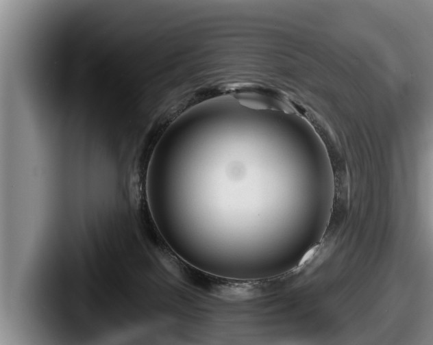 X0000087680086200705111309