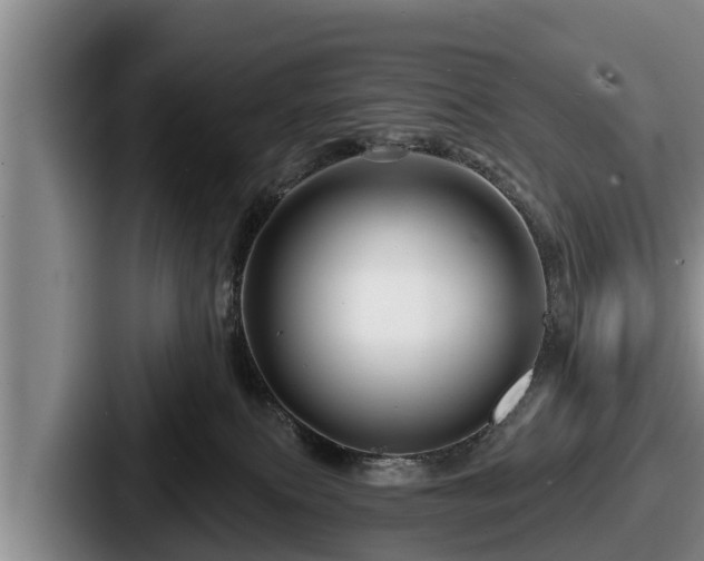 X0000087680087200705111309