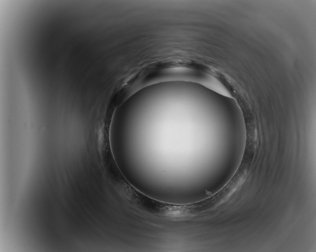 X0000087680088200705111309