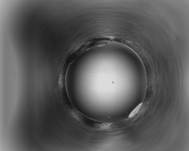 X0000087680090200705111309