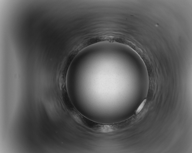 X0000087680091200705111309