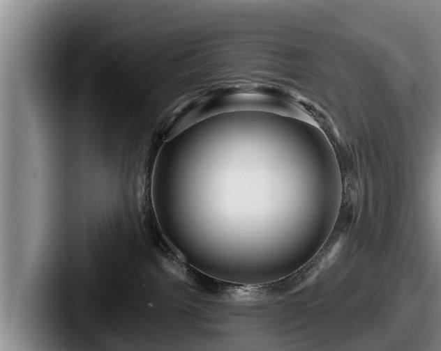 X0000087680092200705111309