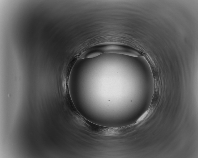 X0000087680094200705111309