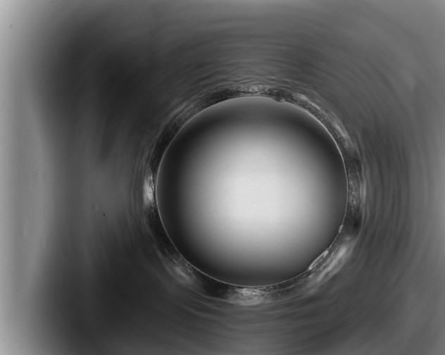 X0000087680095200705111309