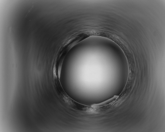 X0000087680096200705111309