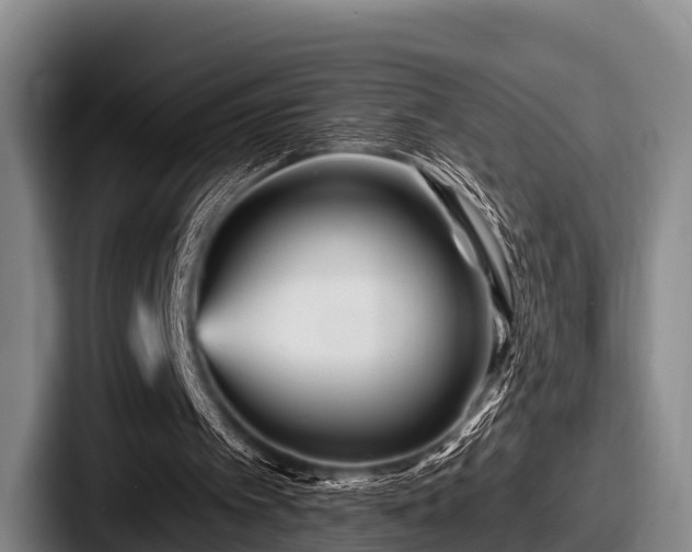 X0000087680097200705111308