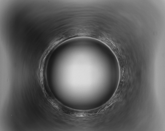 X0000087680098200705111308