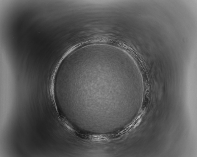 X0000087680100200705111308