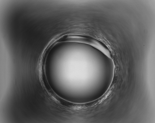 X0000087680101200705111308