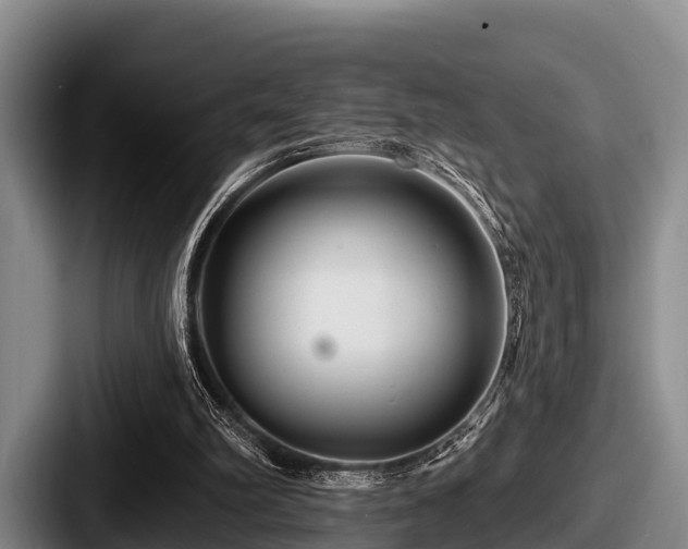 X0000087680102200705111308