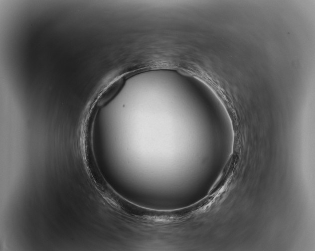 X0000087680103200705111308