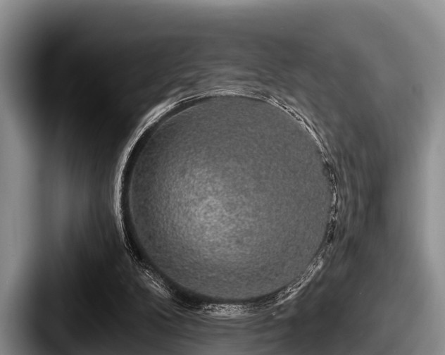 X0000087680104200705111308