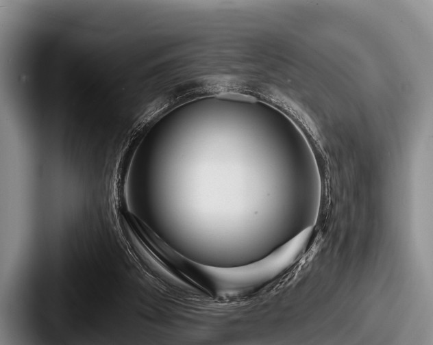 X0000087680105200705111308