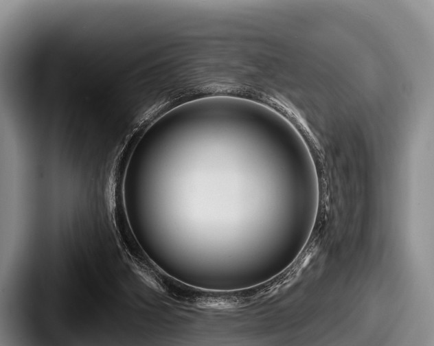 X0000087680106200705111308