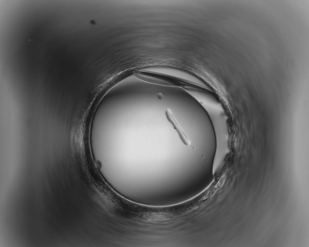 X0000087680107200705111308