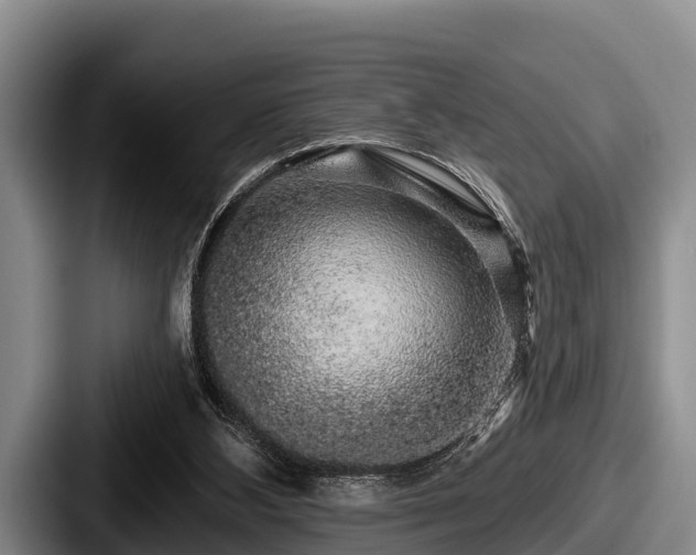 X0000087680108200705111308