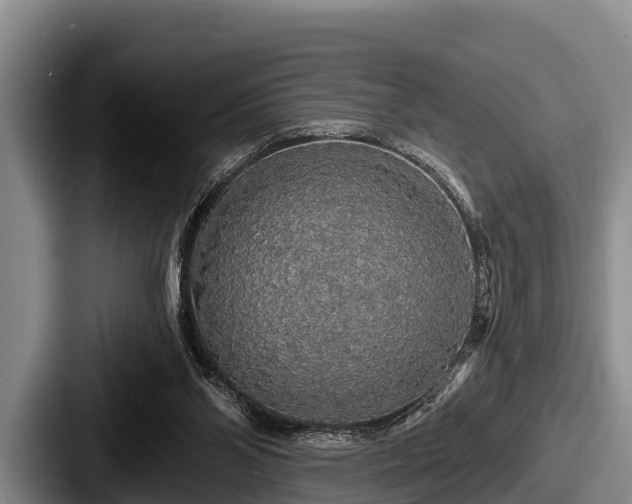 X0000087680110200705111308