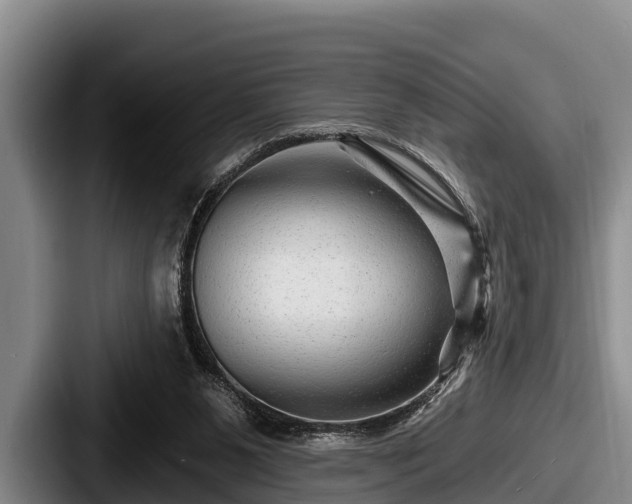 X0000087680111200705111308