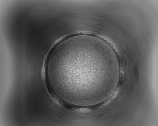 X0000087680112200705111308